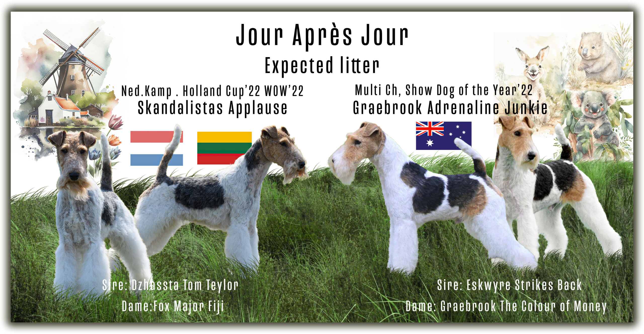 Advertentie Applause 17 maart 2023